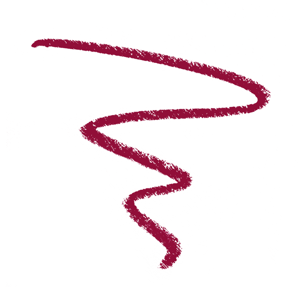 Perfect Pout Gel Lip Liner | Currant Mood - wet n wild Beauty