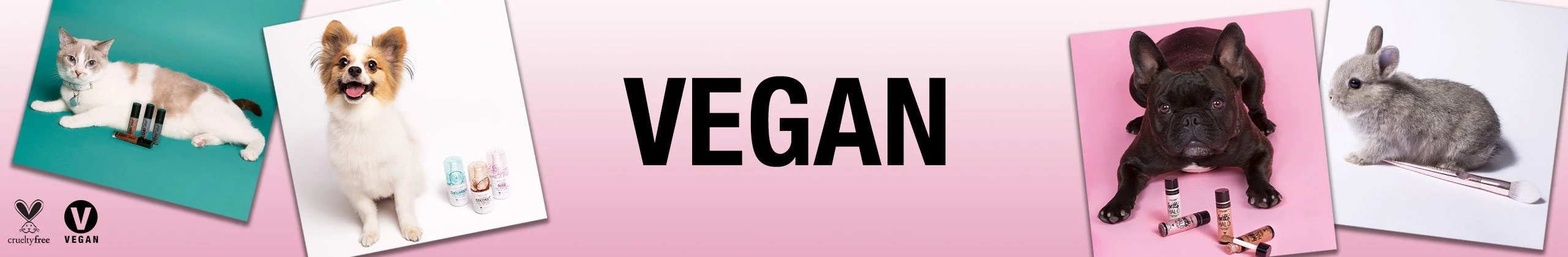 Vegan Banner
