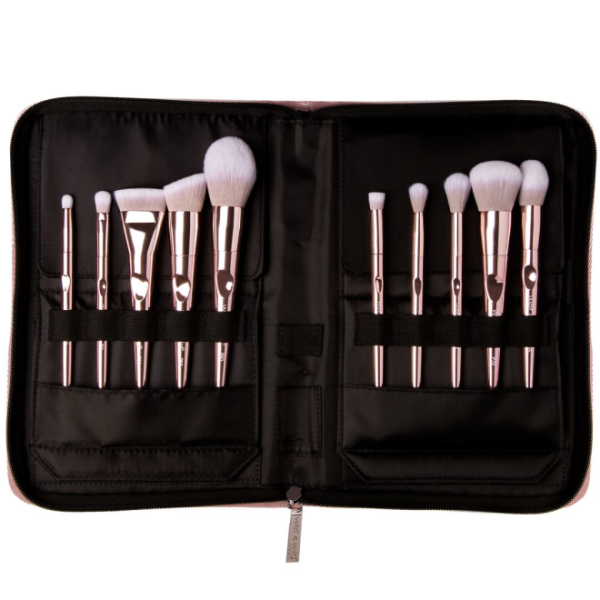 10 Piece Pro Line Brush Set - Products displayed in case in front of case on a white background